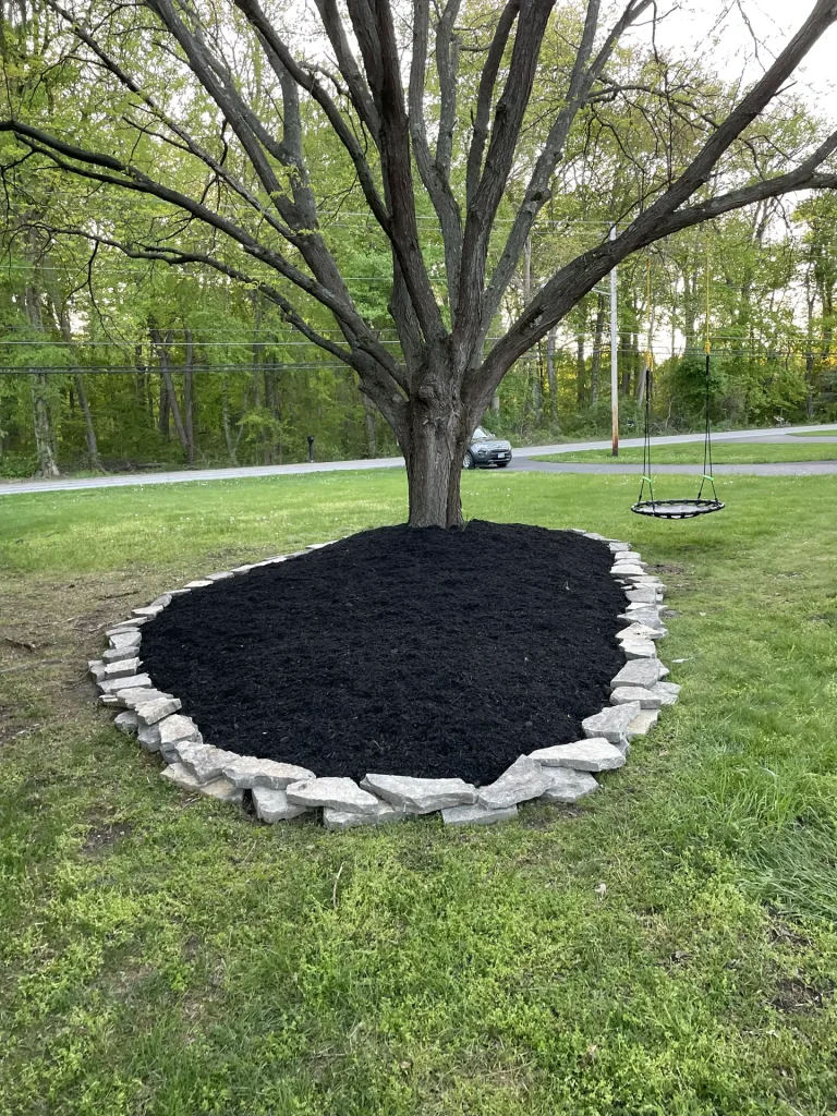 Better Way Land Management LLC freshly installed black mulch bed with natural stone border surrounding mature tree in residential front yard Swanton OH