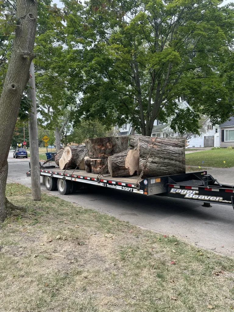 Better Way Land Management LLC large cut tree trunk sections secured with chains on Eager Beaver flatbed trailer in residential OH neighborhood