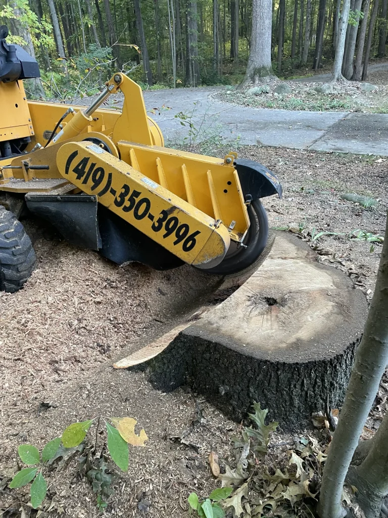 Better Way Land Management LLC machine performing stump grinding and removal in Northwest Ohio wooded residential yard