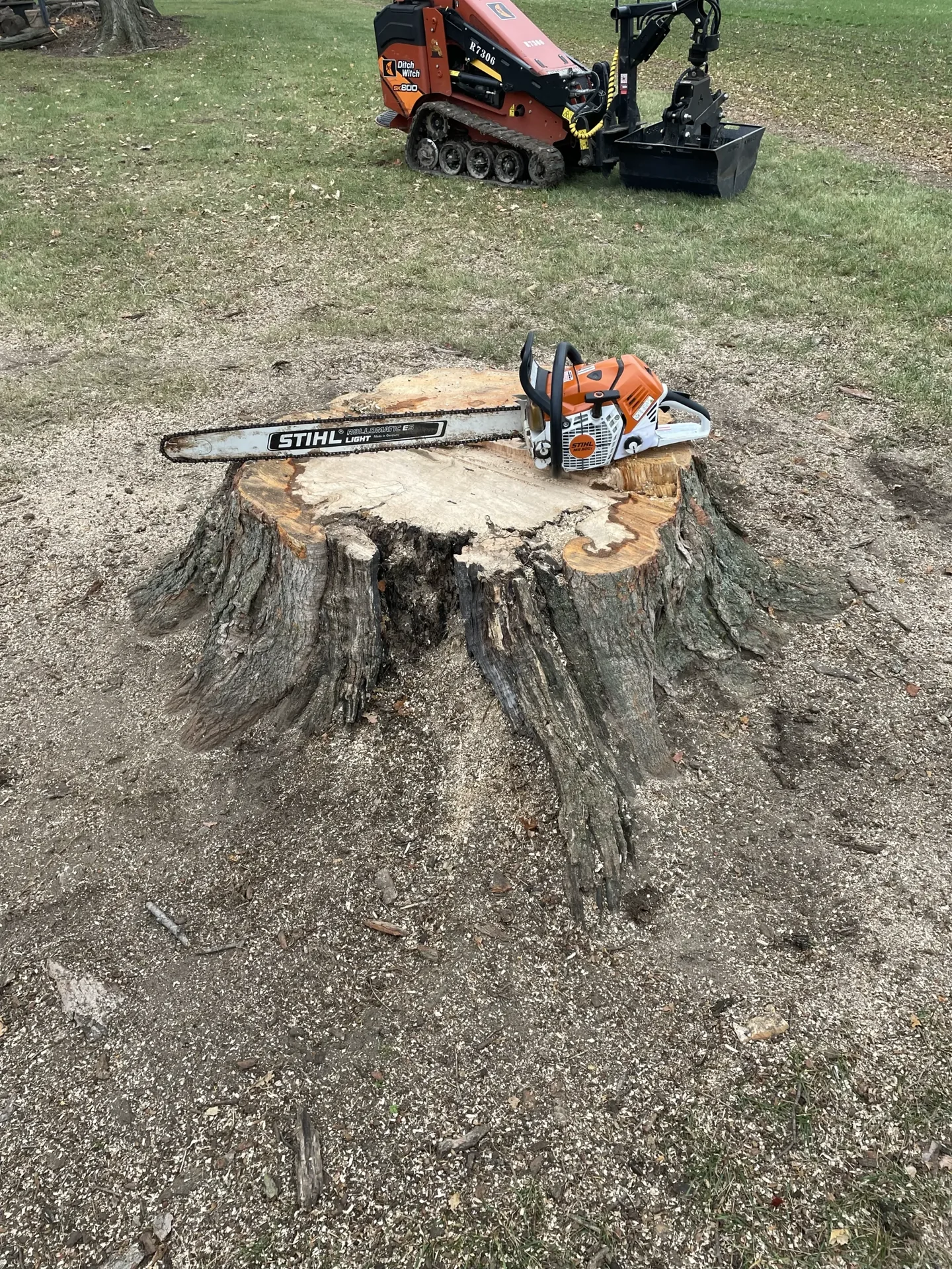 Better Way Land Management LLC chainsaw resting on freshly cut large tree stump with skid steer equipment in background Ohio property