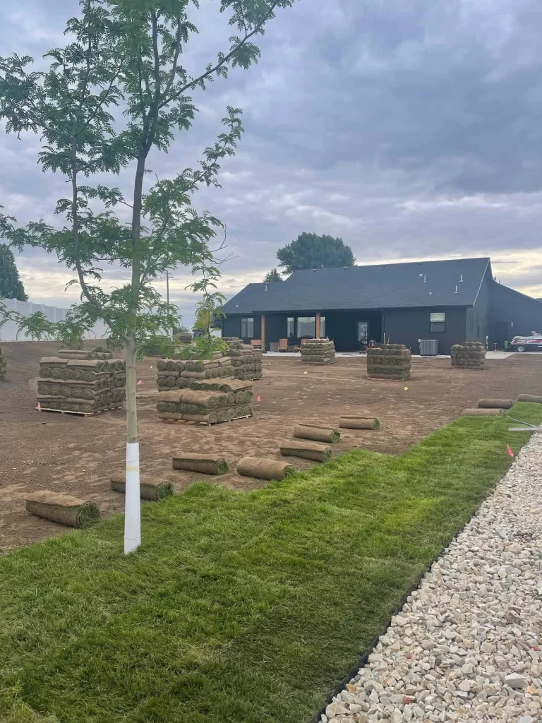 Better Way Land Management LLC crew installing fresh sod rolls from pallets across prepared soil at residential property with modern dark home