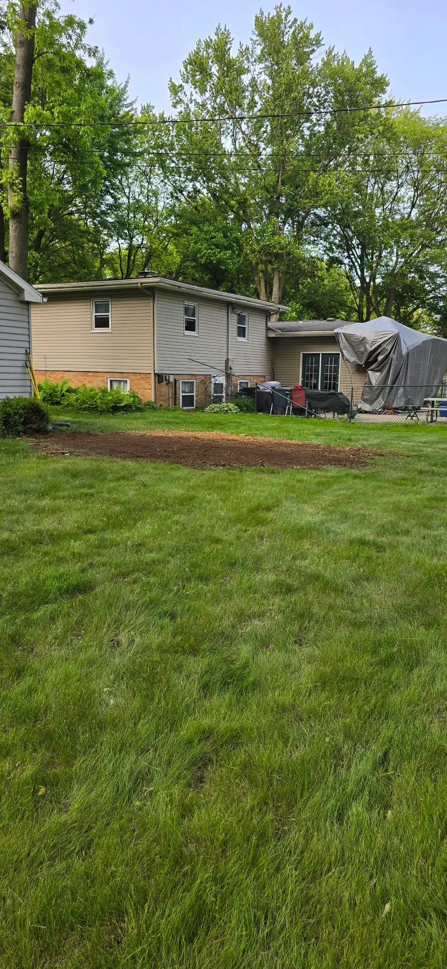 Better Way Land Management LLC completed stump grinding showing fresh mulch patch in green residential backyard lawn area