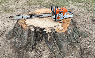 Better Way Land Management LLC STIHL chainsaw resting on freshly cut large tree stump in outdoor rural grass setting