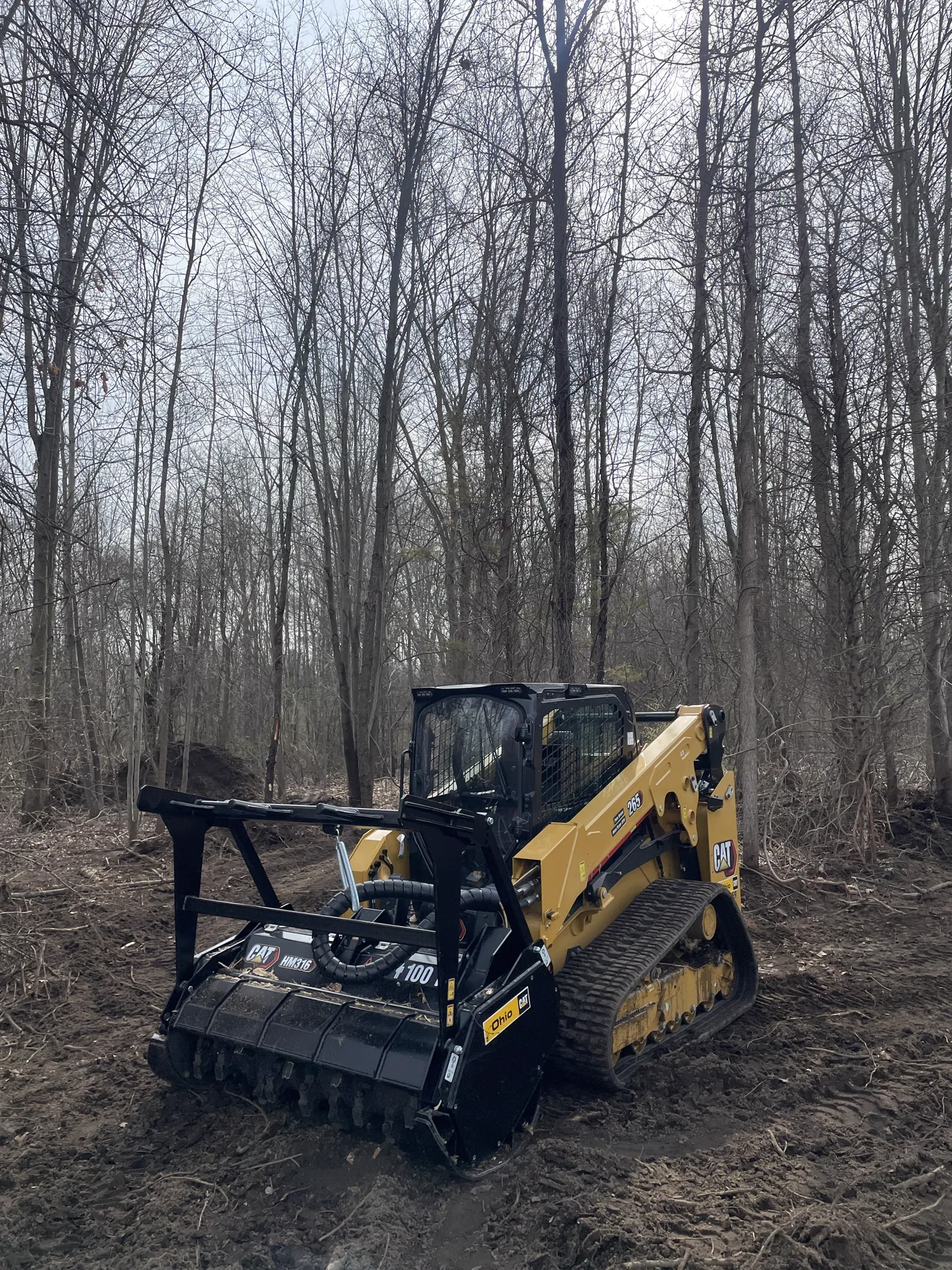 Better Way Land Management LLC CAT 265 compact track loader with HM316 mulcher performing forestry mulching in Northwest Ohio woodland